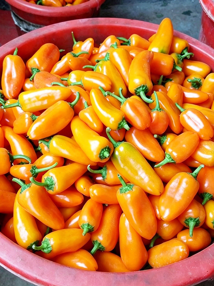 Mixed Color Fruit Pepper