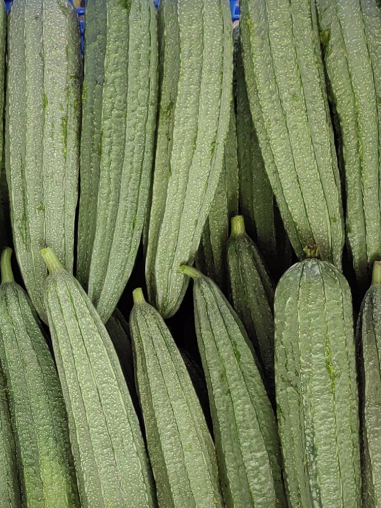 Jiemei Speckled Ridge Gourd
