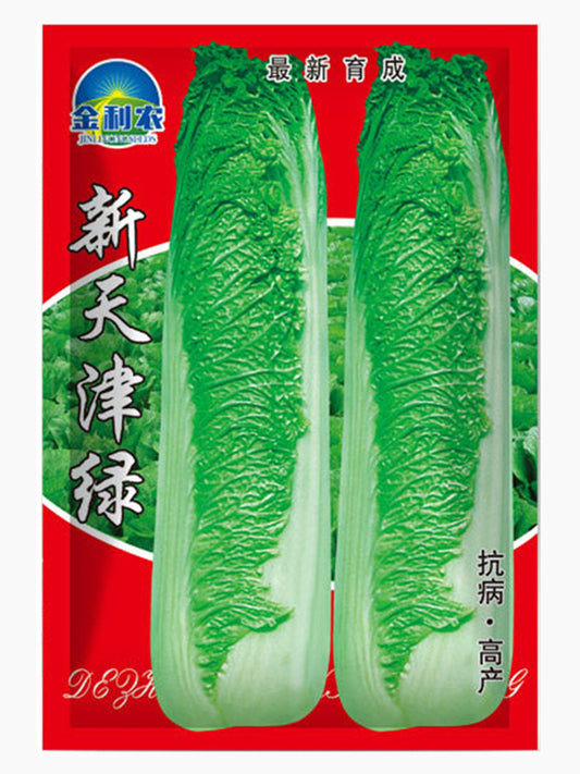 Tianjin Green Napa Cabbage