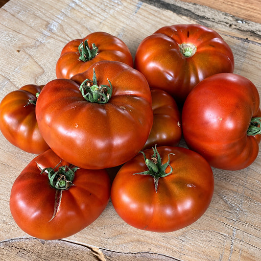 248 Dwarf Metis Tomato