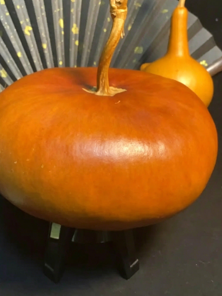 Millstone Bottle Gourd