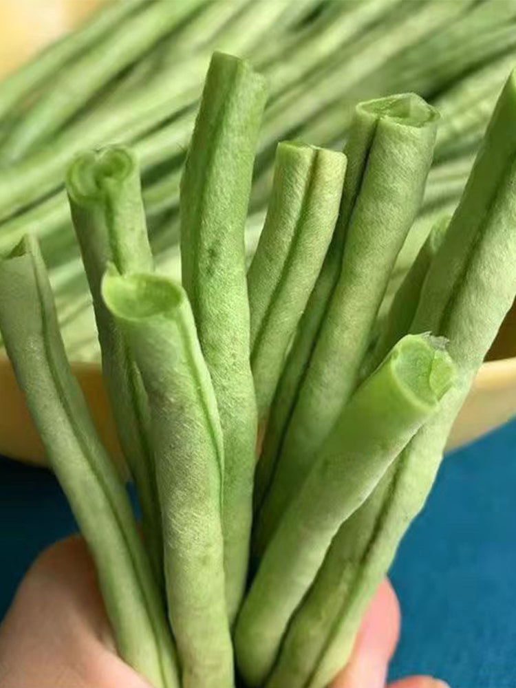 Ganzhimei Yardlong Beans