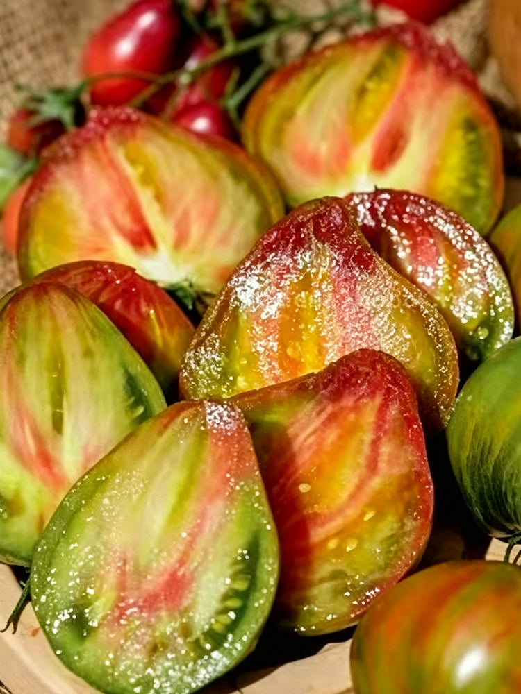 977 Malachite Elf Tomato