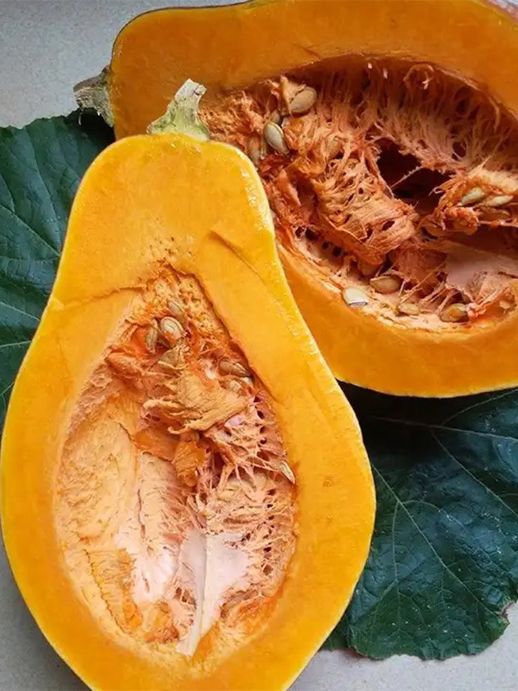 Sweet Taro Flavor Pumpkin