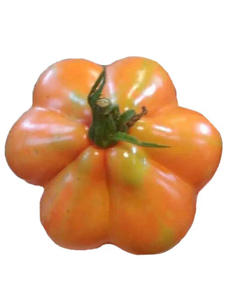 CORAZON Fleshy Tomato
