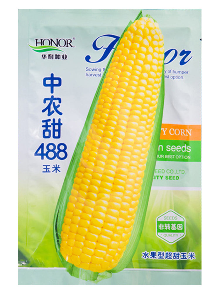 Zhongnongtian 488 Sweet Corn