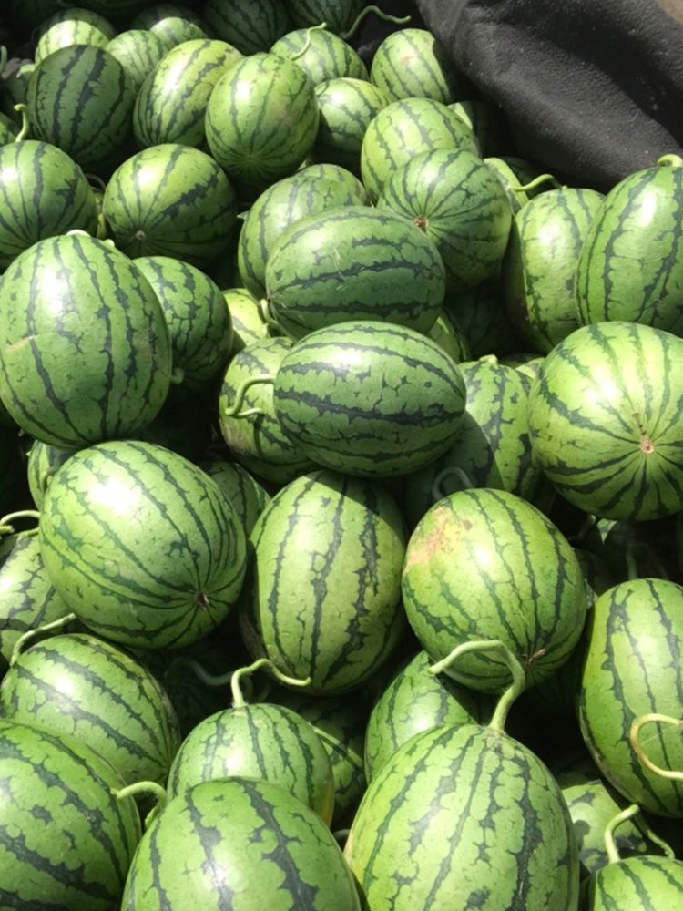 'Super Sweet 2K' Watermelon