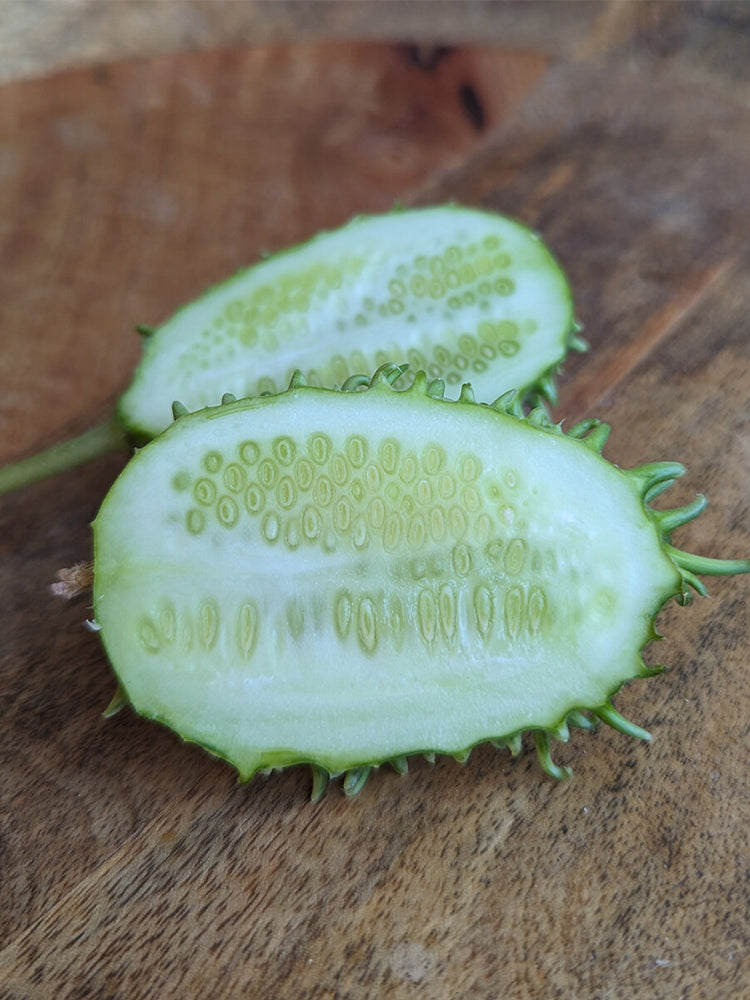 West Indian Gherkin