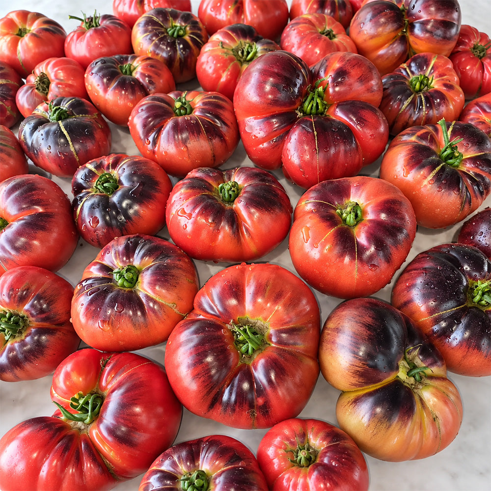 384 Sofia's Purple Apple Tomato