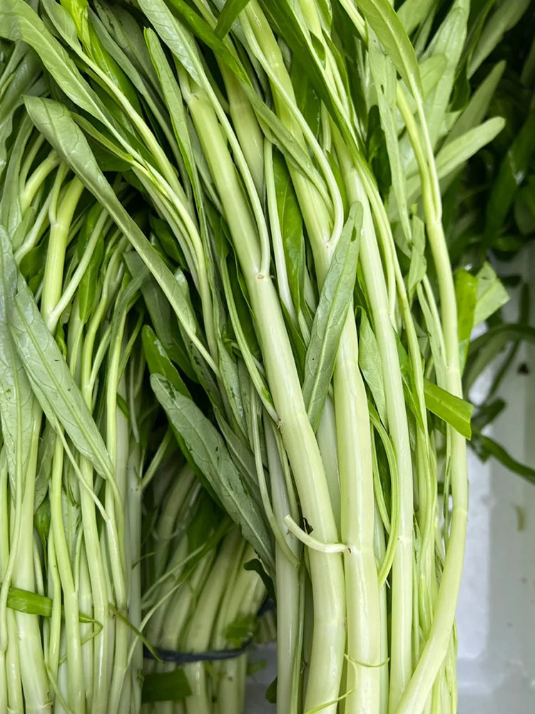 'JieMei' White-Stemmed Water Spinach