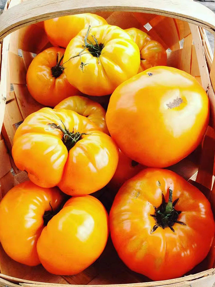 Kellogg's Breakfast Tomato