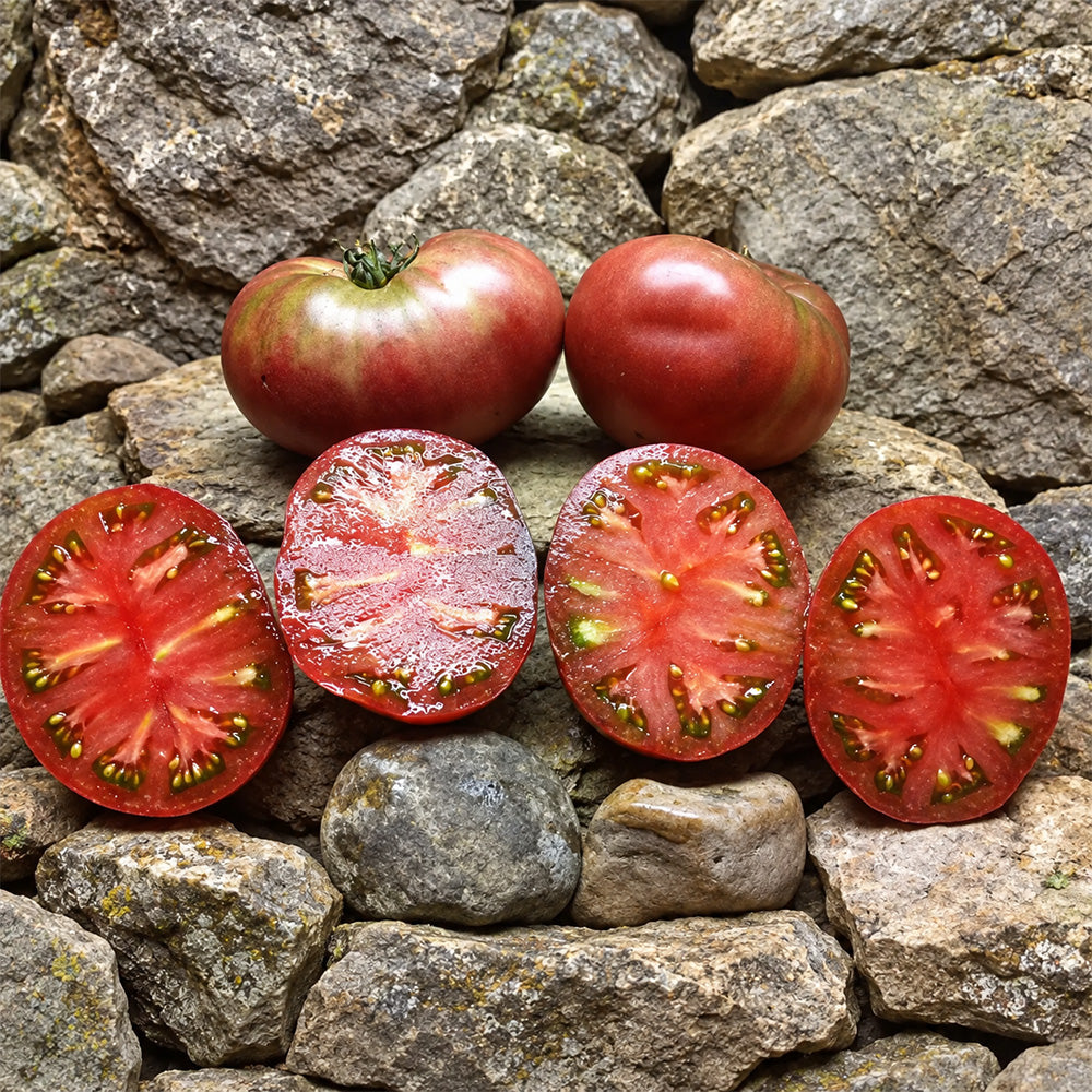 539 Frankenstein Black Tomato