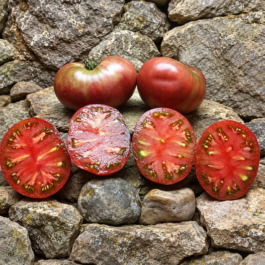 539 Frankenstein Black Tomato