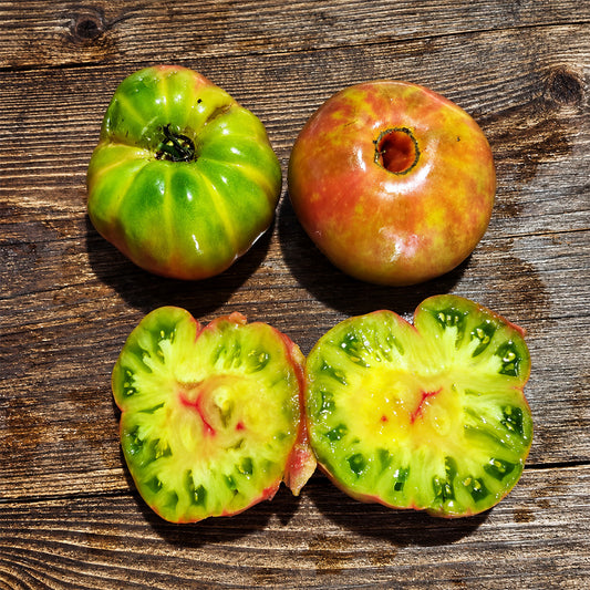 522 Kozula 203/1 Tomato