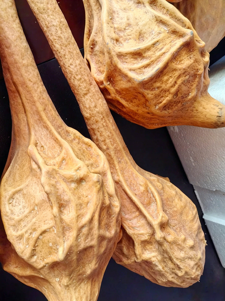 Crane Head Gourd