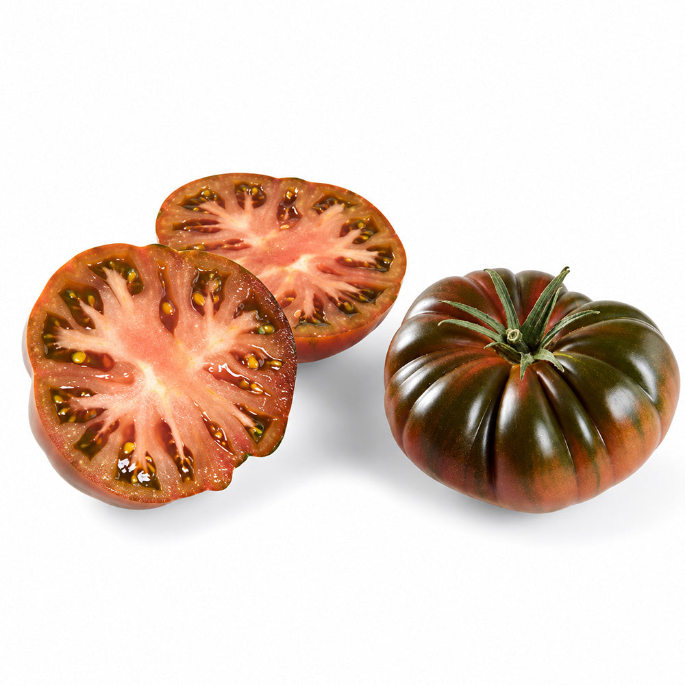 552 Adora iz RAF Tomato