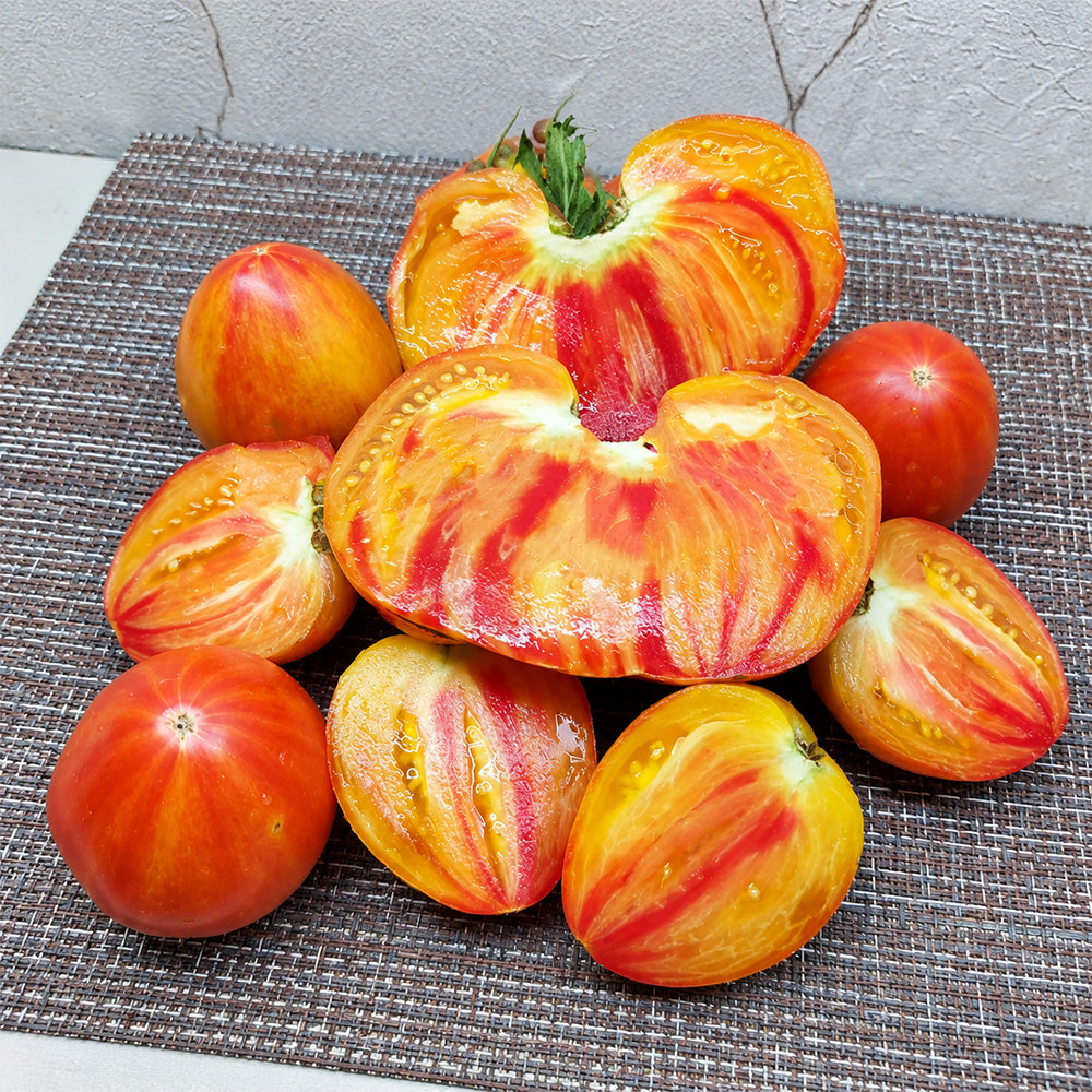 318 Fred Heirloom Tomato