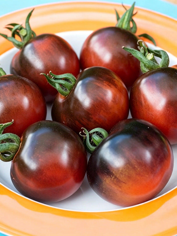 Clackamas Blueberry Indigo Tomato