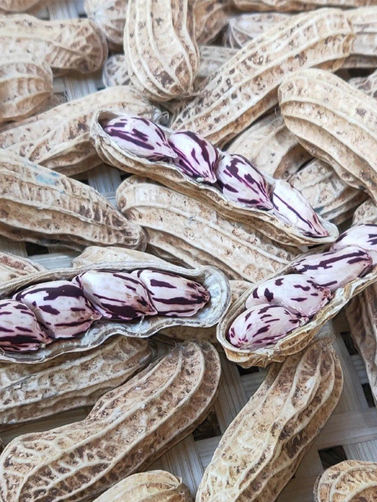 Rainbow Peanut