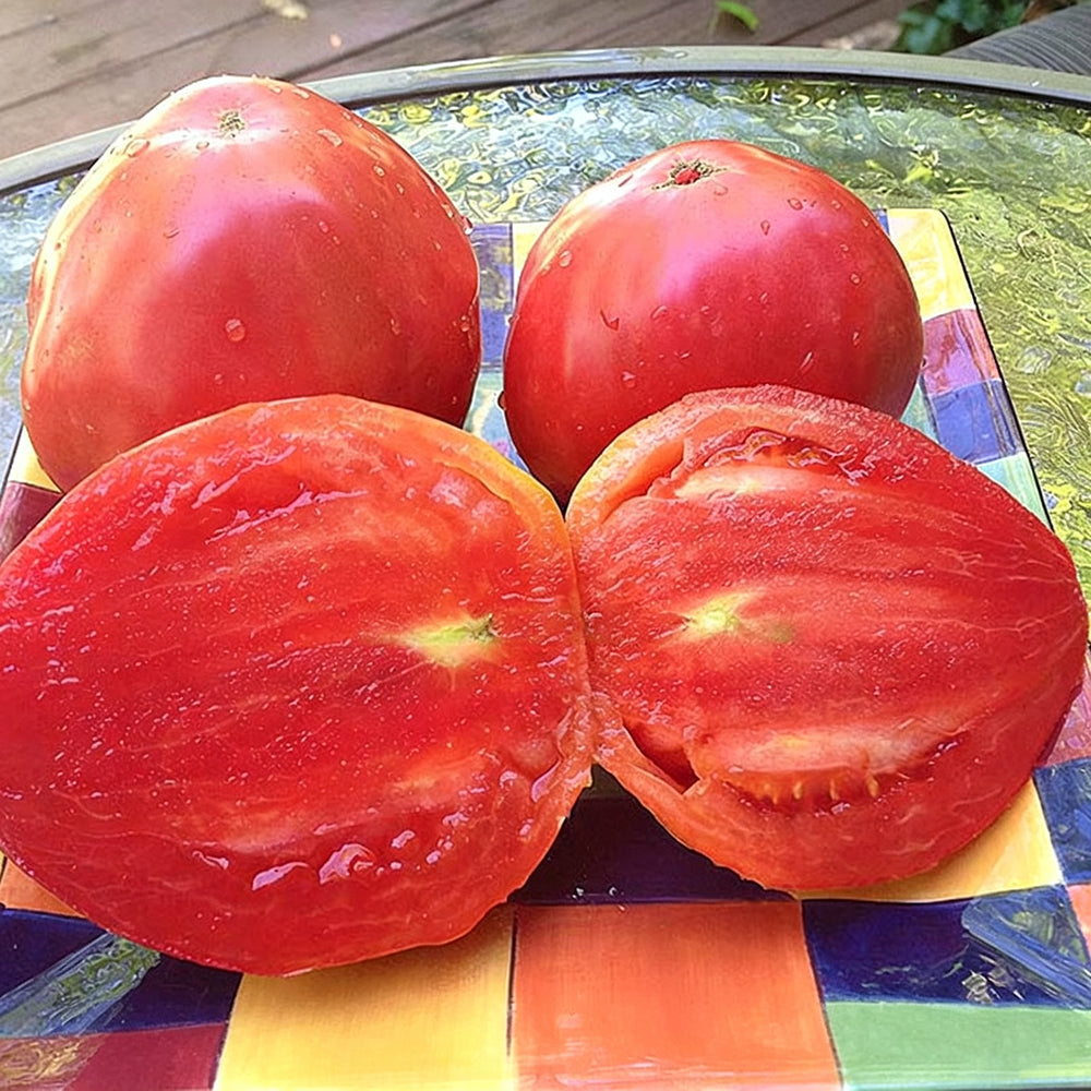 W954 Hungarian Heart Tomato