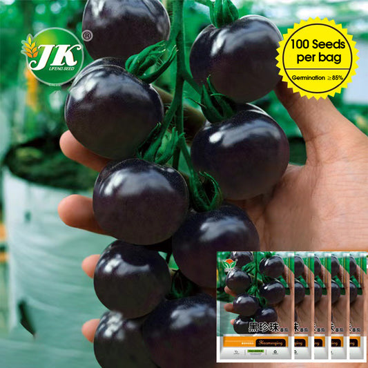 Gourmet Gardening: 5 Bags of Premium 'Black Pearl' Series Black Tomato Seeds