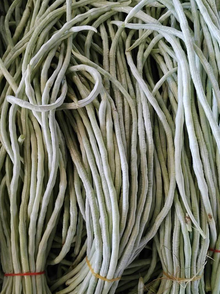'Jiemei' Glossy White Long Bean