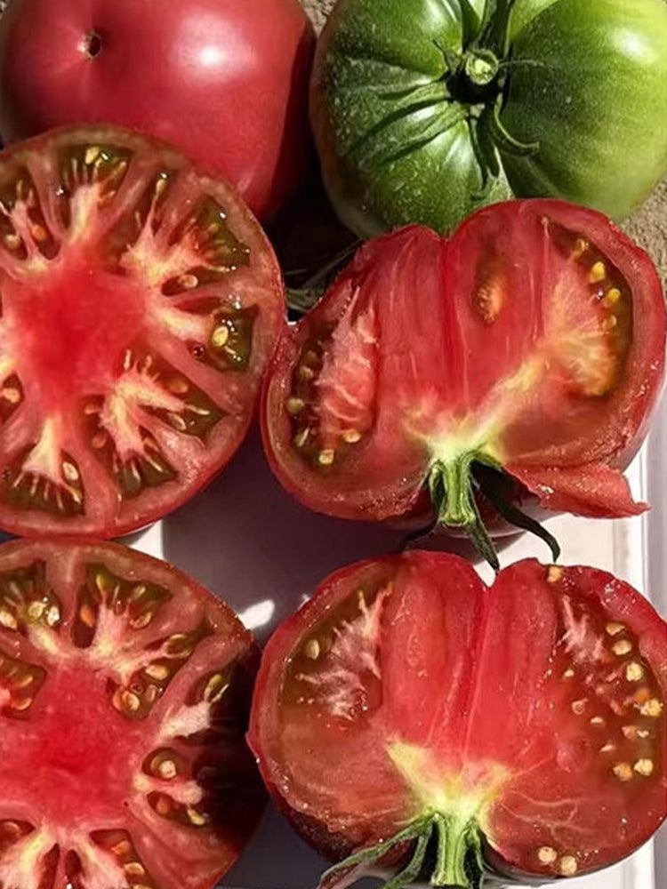 Pink Brandywine Tomato