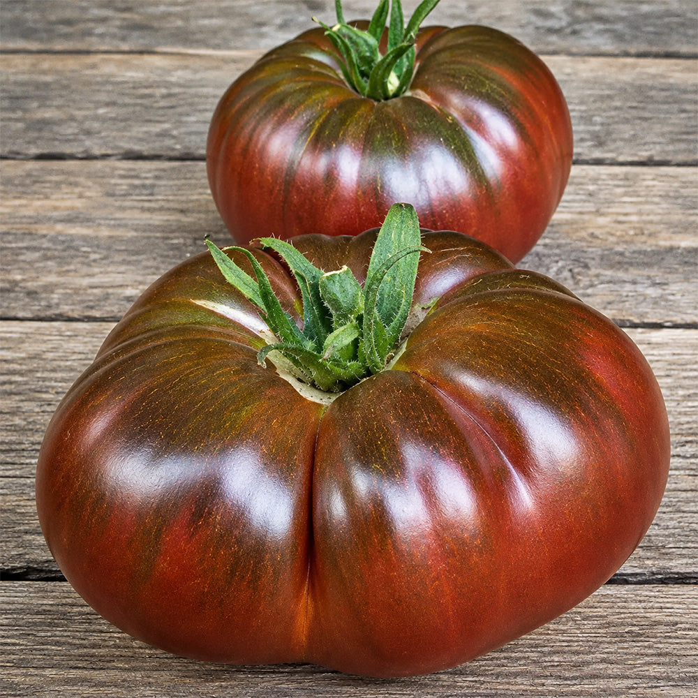 13 Mikado Black Tomato