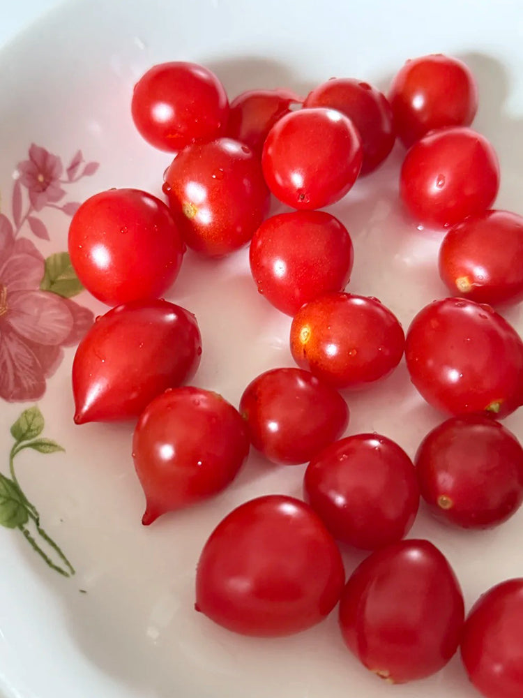 'Jingfan Fenxing No.2' Tomato