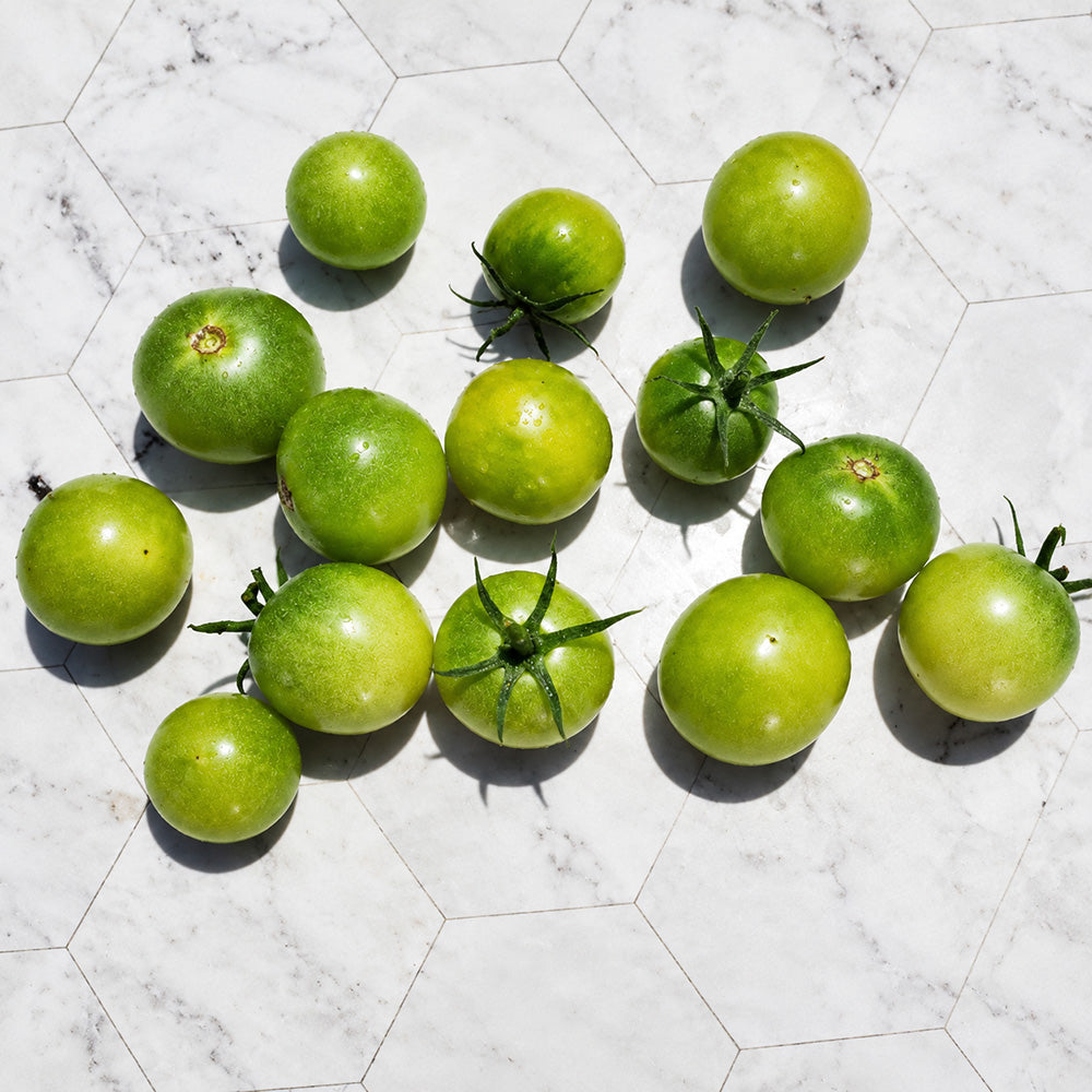 125 Gobstopper Tomato