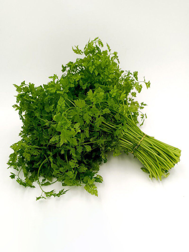 Italian Chervil