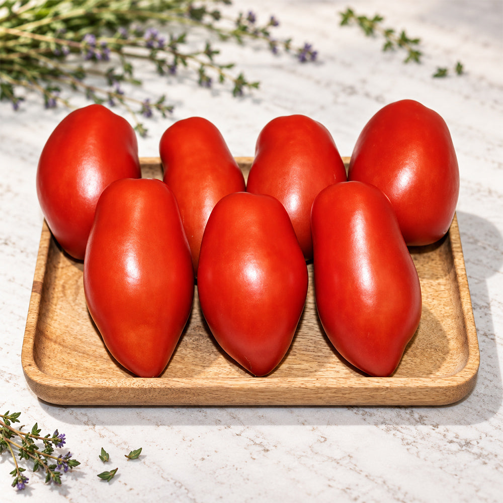 530 Perino Grosso Tomato