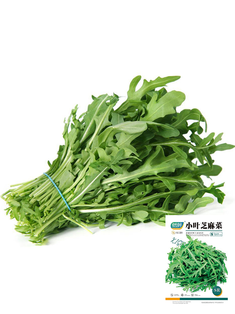 Arugula (Eruca vesicaria)