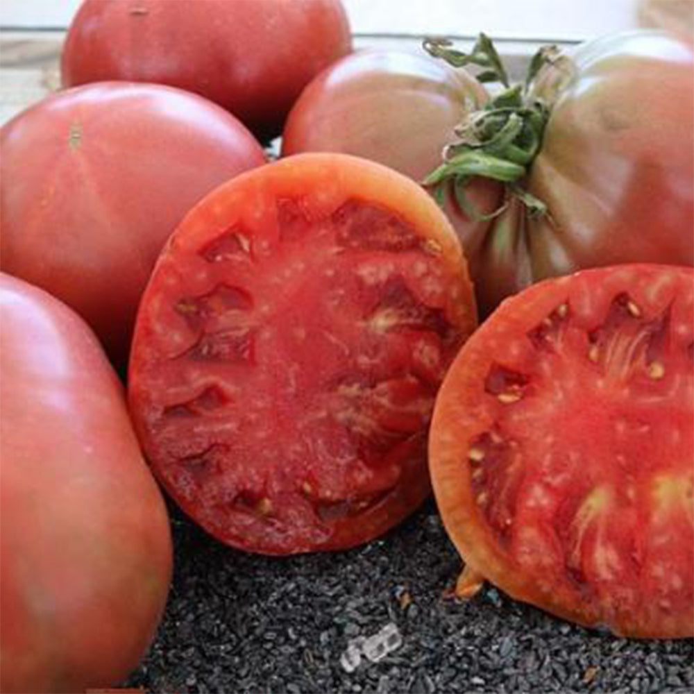 665 Hurl's Black Tomato