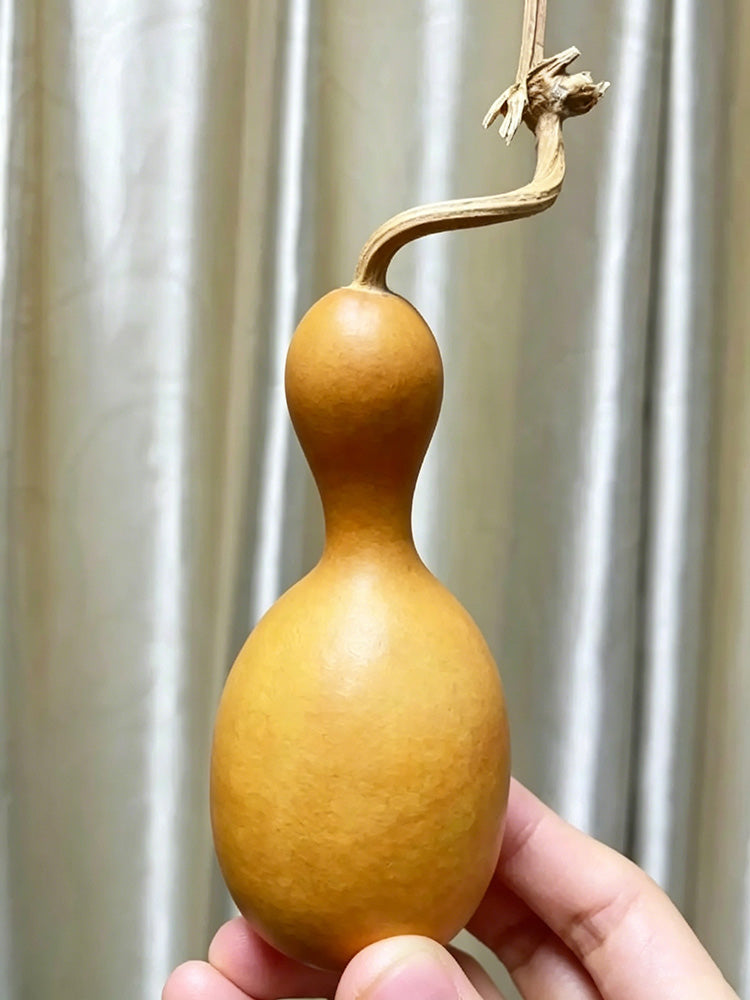 Flower Bottle Gourd