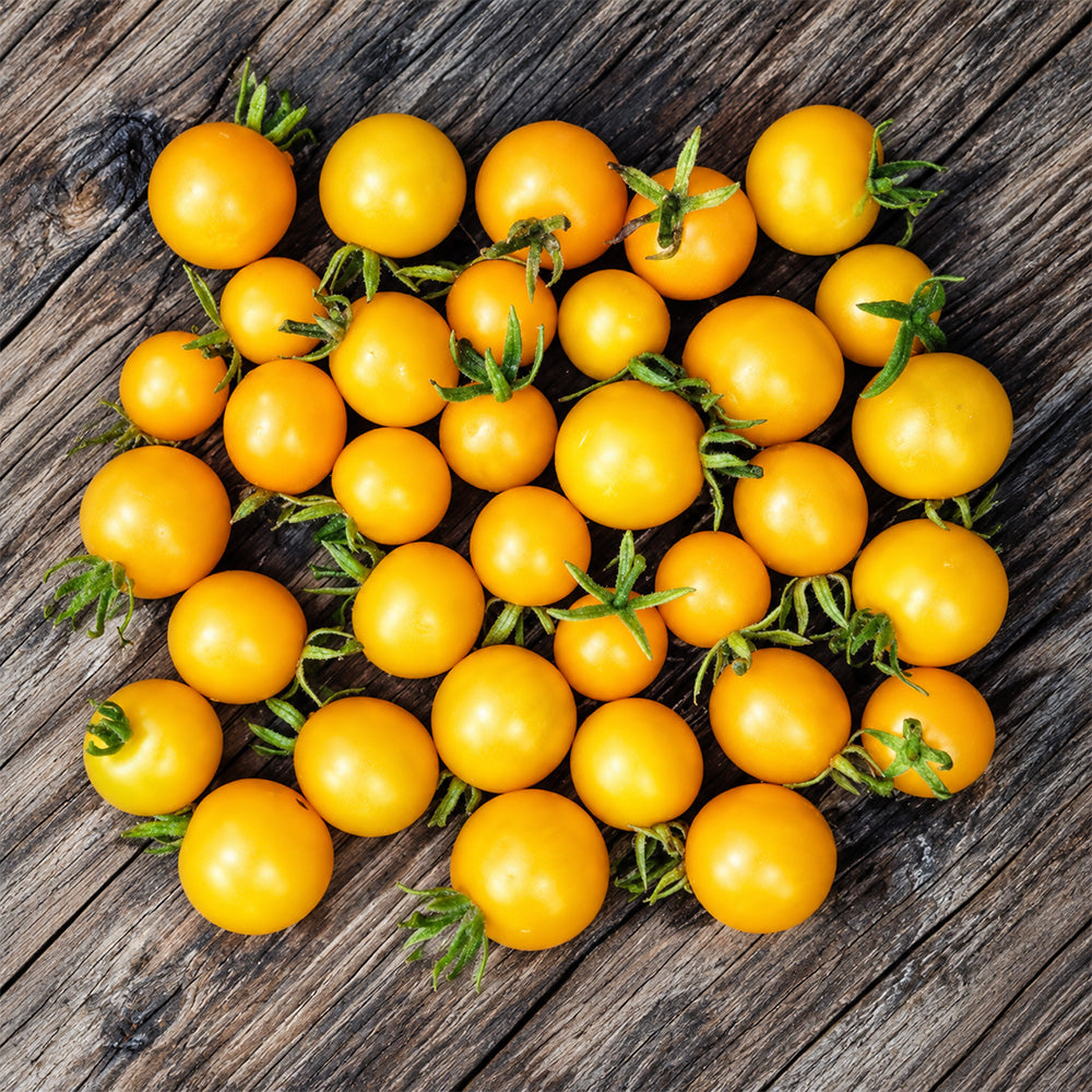 310 Dwarf Eagle Smiley Tomato