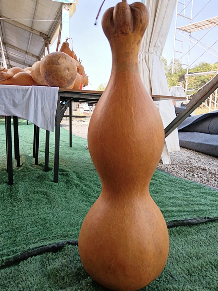 Extra-large Lotus-head Gourd