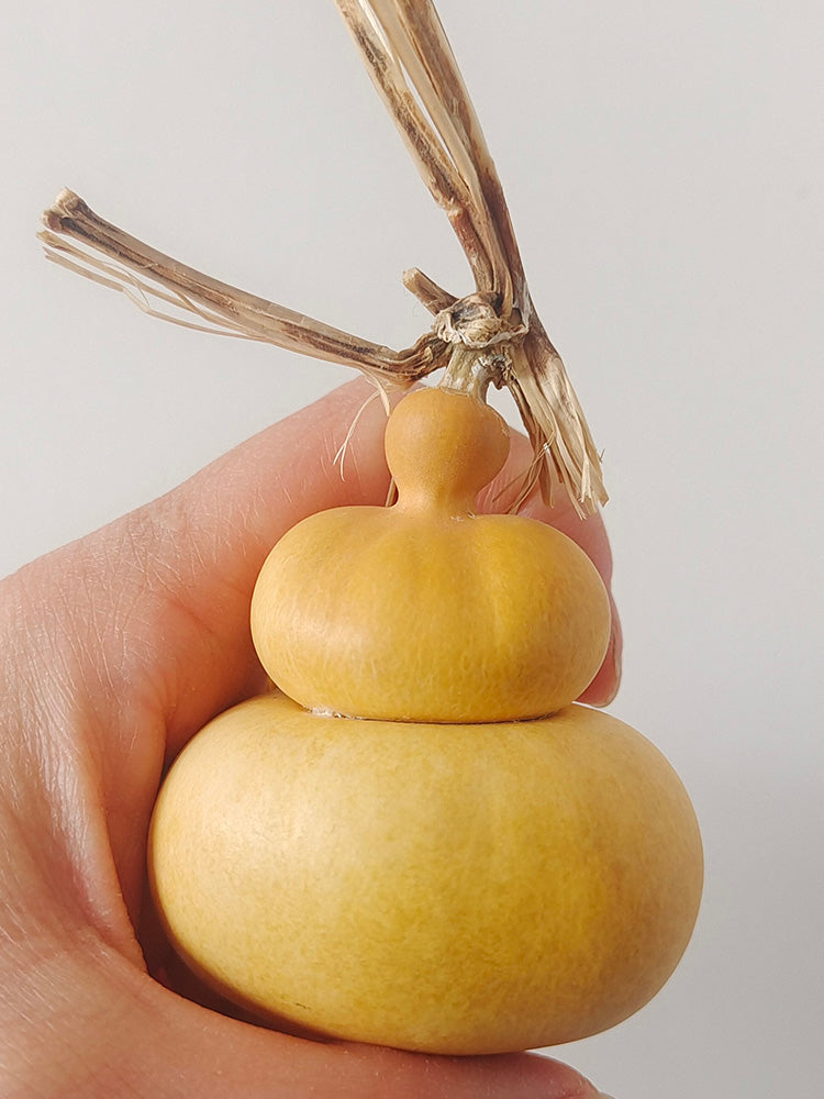 Money Bag Eight Treasures Gourd