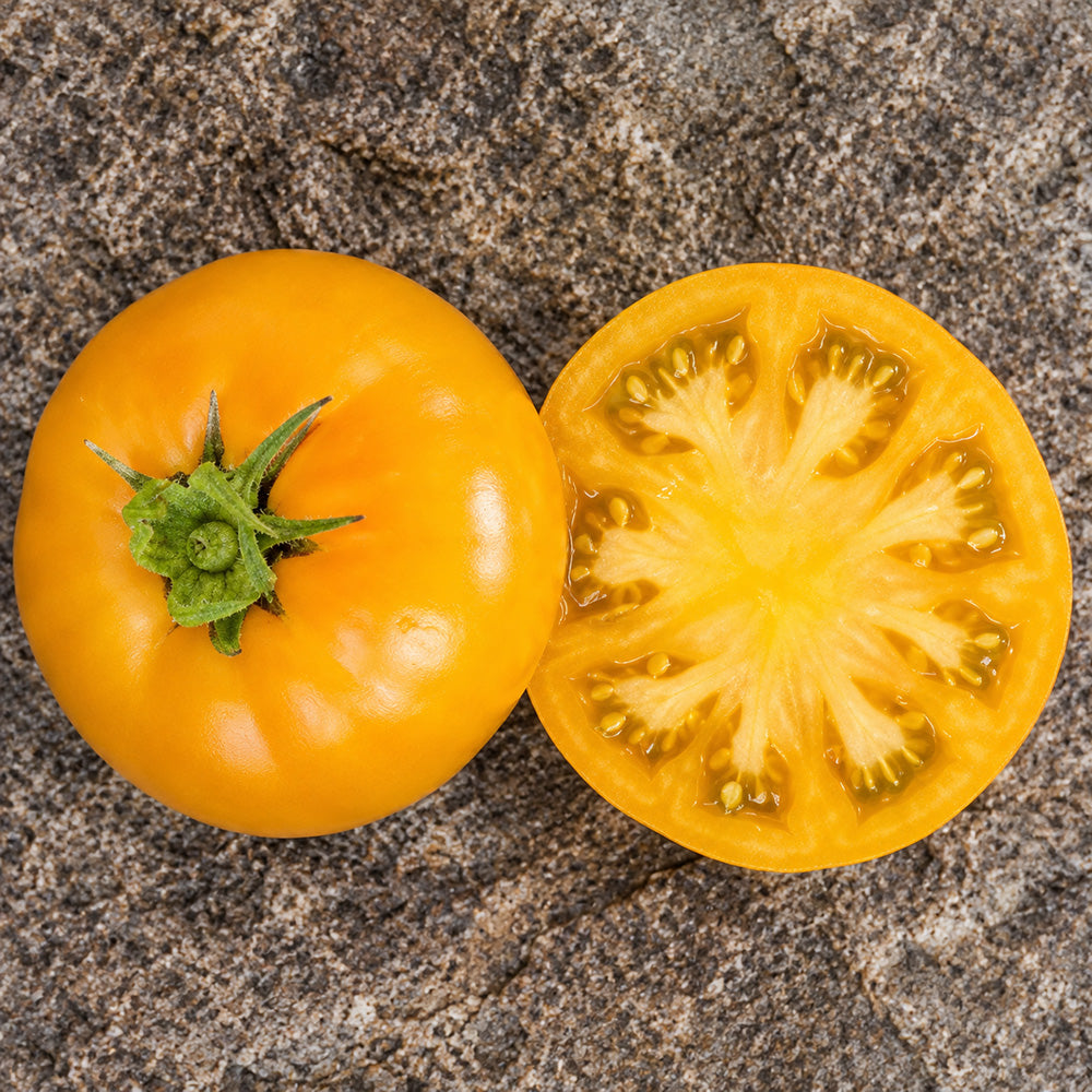 96 Cherokee Tiger Orange Dwarf Tomato