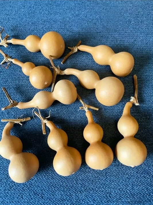 Tianjin Mouth Gourd