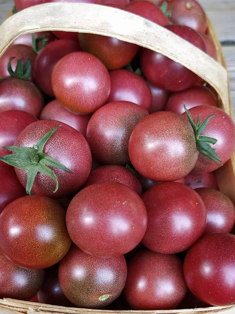 Reinhard Kraft's Purple Sugar Cherry Tomato