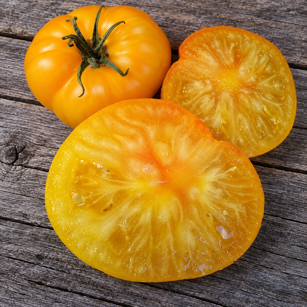 355 Dwarf Jackass Yellow Tomato