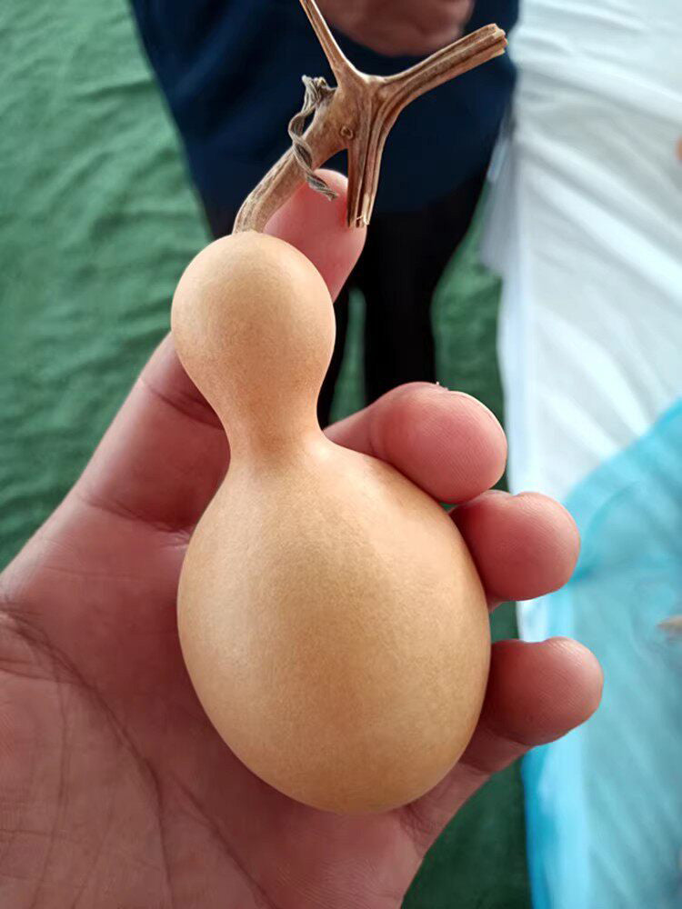 Small Bottle Gourd