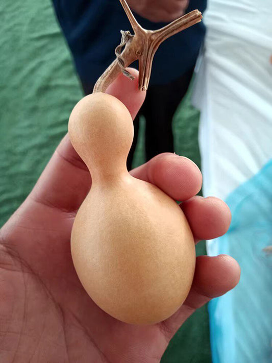 Small Bottle Gourd