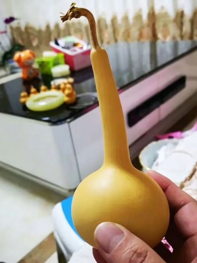 Small Long-handled Gourd