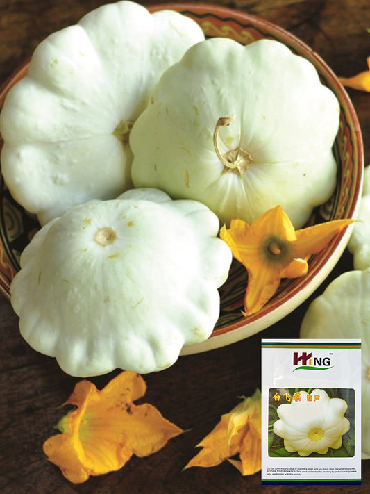 'White Flying Saucer' Gourd