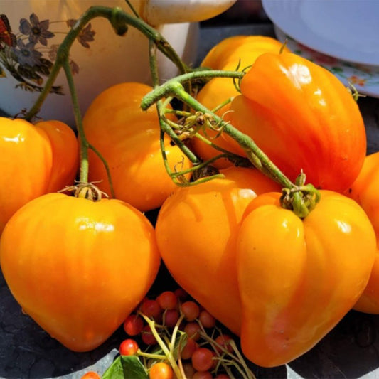 825 Esk Crystal Tomato