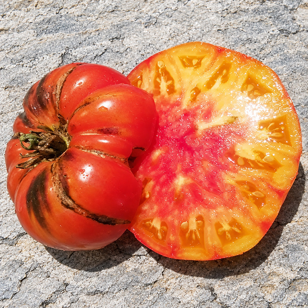 351 Chupa-Chups Bicolor Tomato