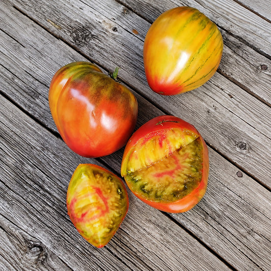 273 True Colors Tomato