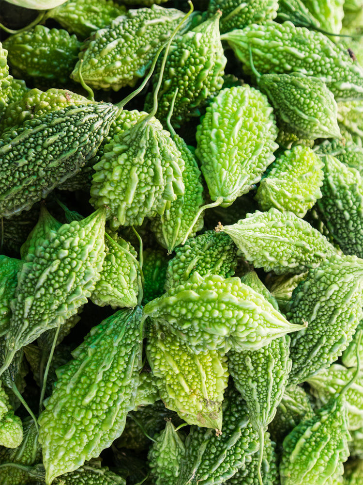 'Hei Wawa' Small Spiny Black Bitter Melon